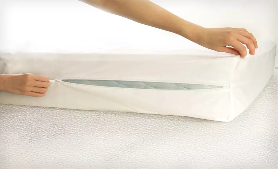 $39.99 for a Royal London Collection Bedbug Protector Mattress Encasement ($99.99 List Price) 4 Sizes Available. - Primary Image