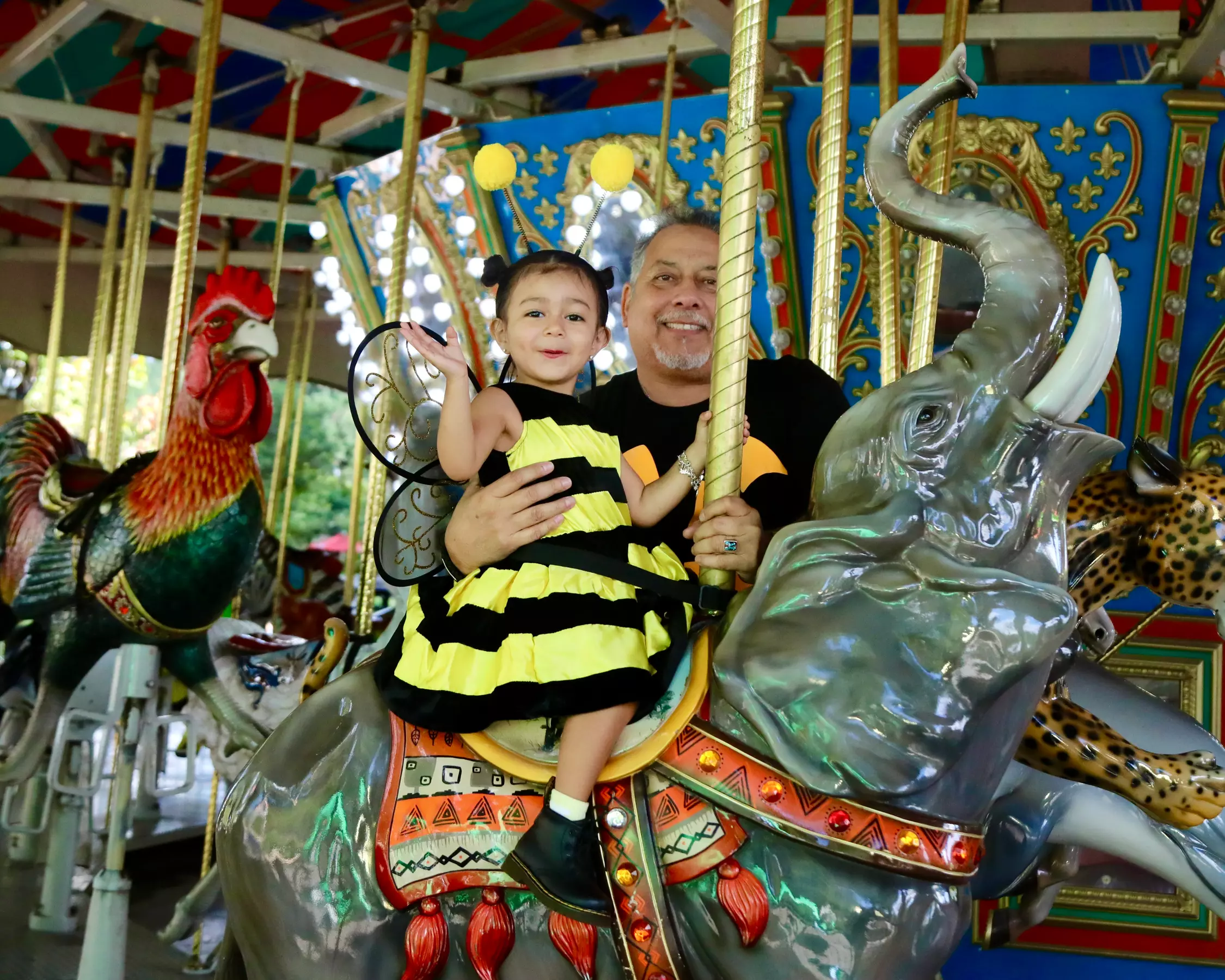 FLASH SALE! Exhilarating Wildlife Adventure at San Antonio Zoo!