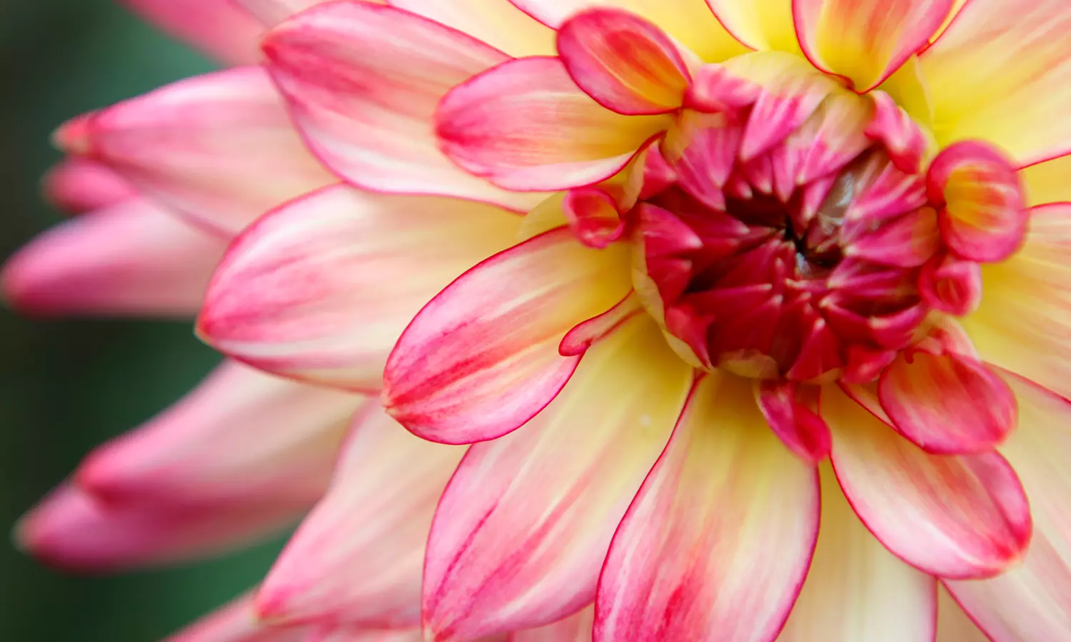 Foto-Workshop & Photowalk Outdoor