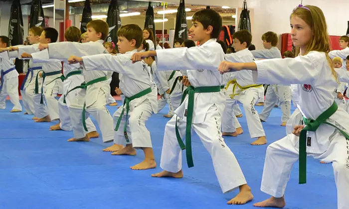 One Month of Martial Arts Training at Florin's Ultimate Martial Arts (Up to 92% Off). Two Options Available. - Primary Image