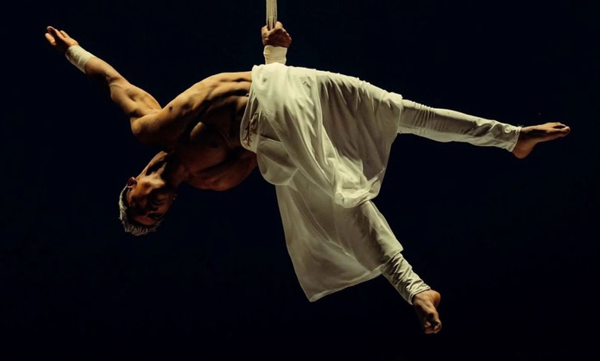 Image 11: Circo Holiday: entrada en tribuna a elegir en diciembre en Alcobendas