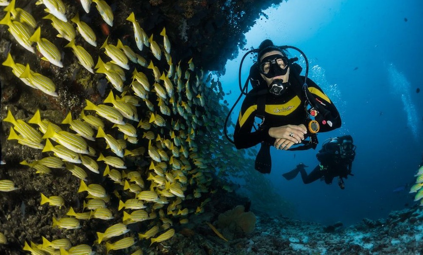 Image 2: Up to 56% Off on Diving Lesson at DiveCampus