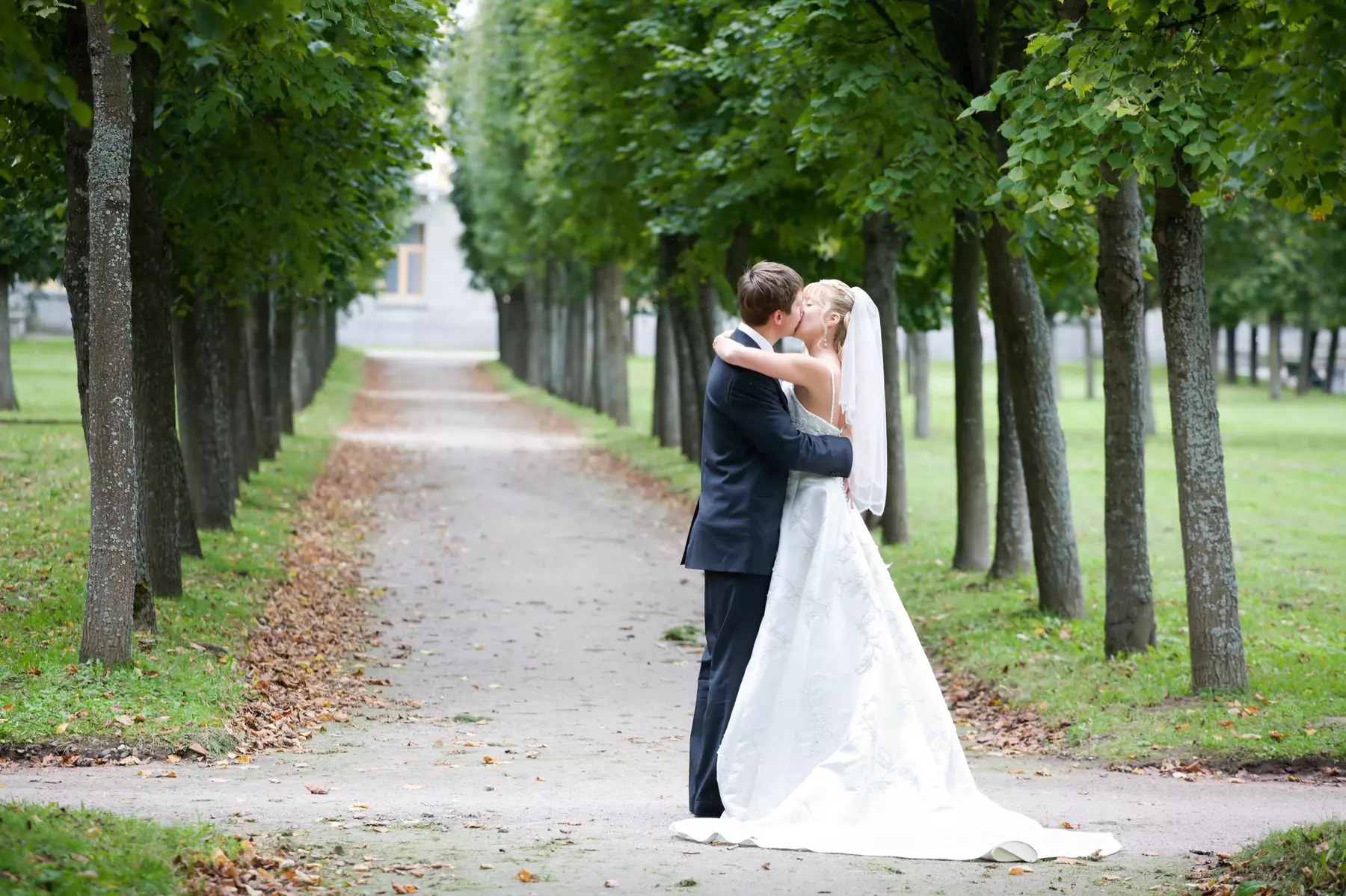 $999 Worth of Services - Primary Image