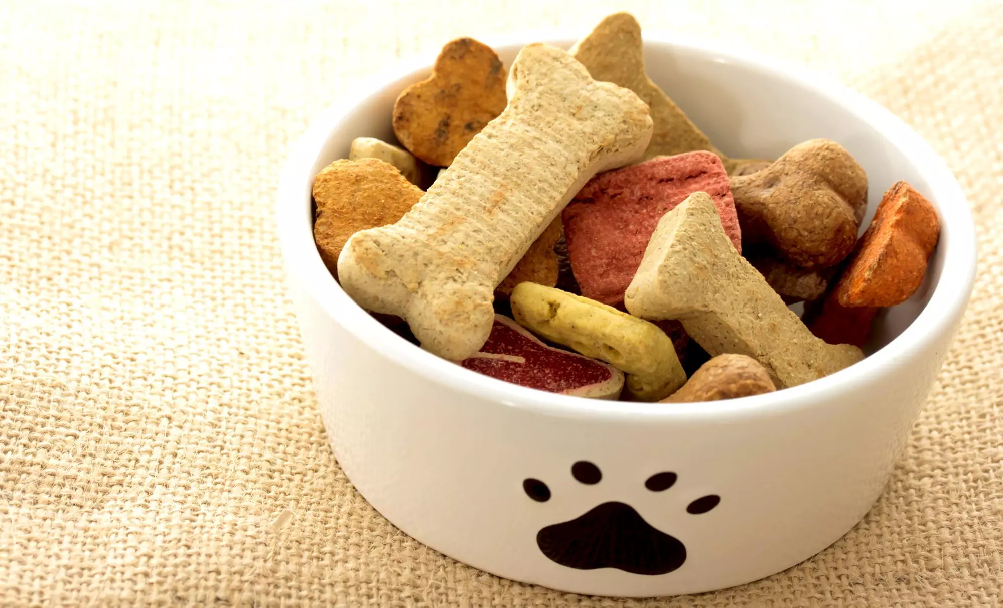 $16 Off $25 Worth of Food / Treat - Pet - Primary Image