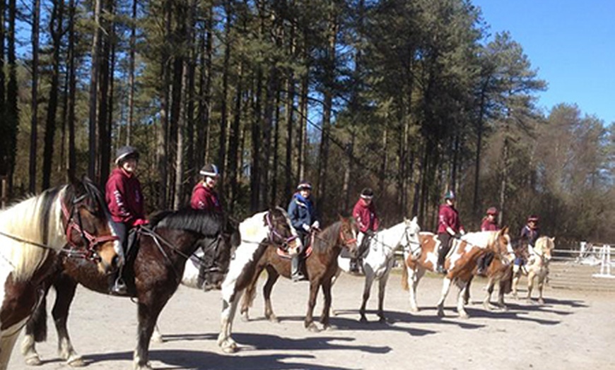 Image 2: Horse Riding Lesson or Trek £16