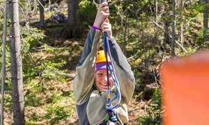 90-Minute Ziplining Experience