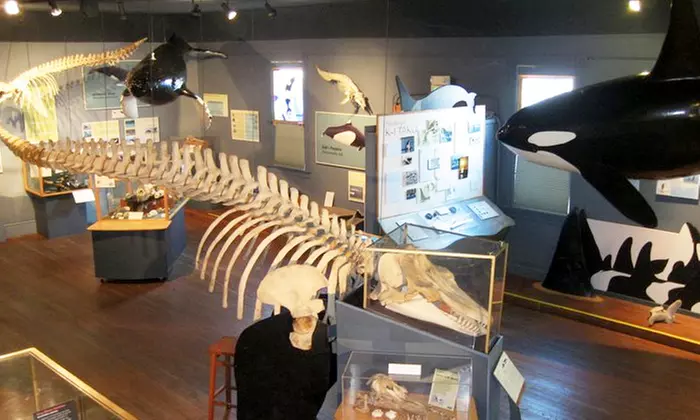 $6 for Two Adult Admissions to The Whale Museum; Valid Sunday-Friday from 3 p.m. to closing - Primary Image