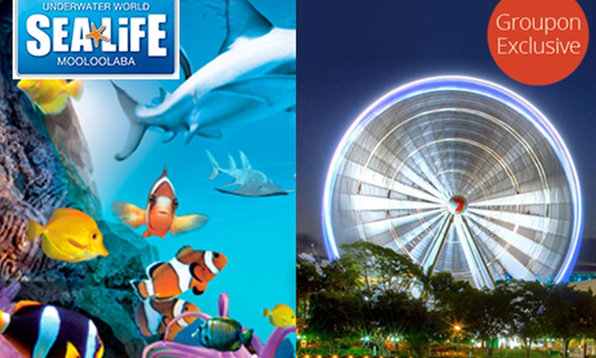 Image 4: Wheel of Brisbane + SEALIFE Combo