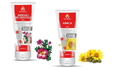 Arnica gel o Artiglio del diavolo Setablu