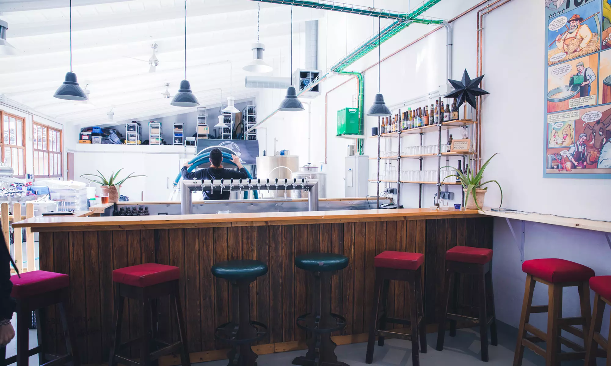 Cata de 5 cervezas con picada para 2, 4 u 8 personas