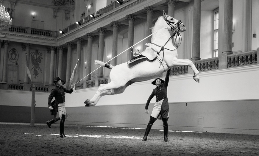 Image 8: Grab Your Tickets to the Most Majestic Horse Show in the UK