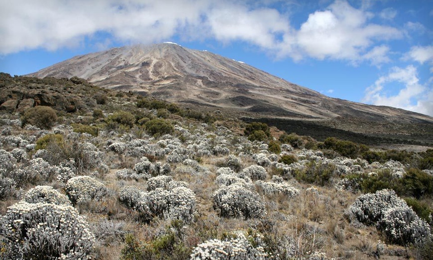 12-Day Mount Kilimanjaro Trek in - Arusha 15171, null, Tanzania ...