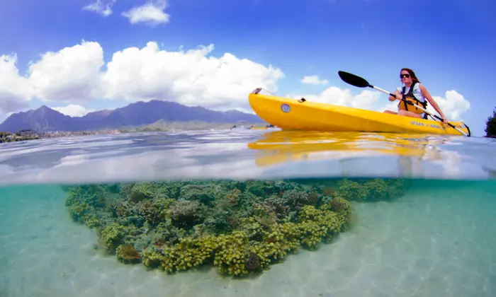Half- or Full-Day Single or Tandem Kayak Rental at Kama’aina Kayak and Snorkel Eco-Ventures (Up to 22% Off) - Primary Image