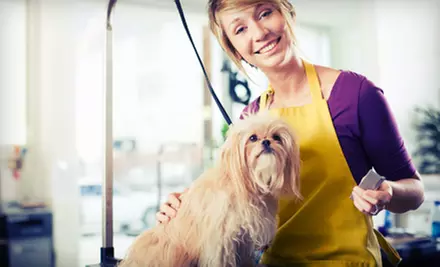 Grooming Package for a Small, Medium, or Large Dog at Applause Four Paw’s (Half Off) - Primary Image