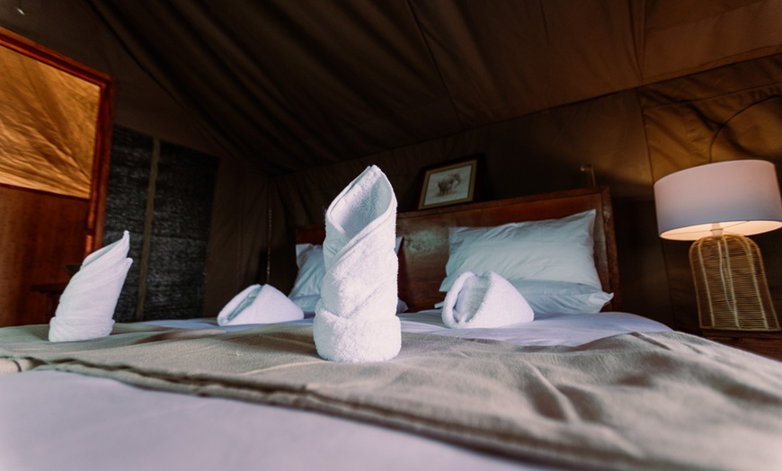 Image 6: Zimbabwe: 7-Night Yoga & Safari Retreat