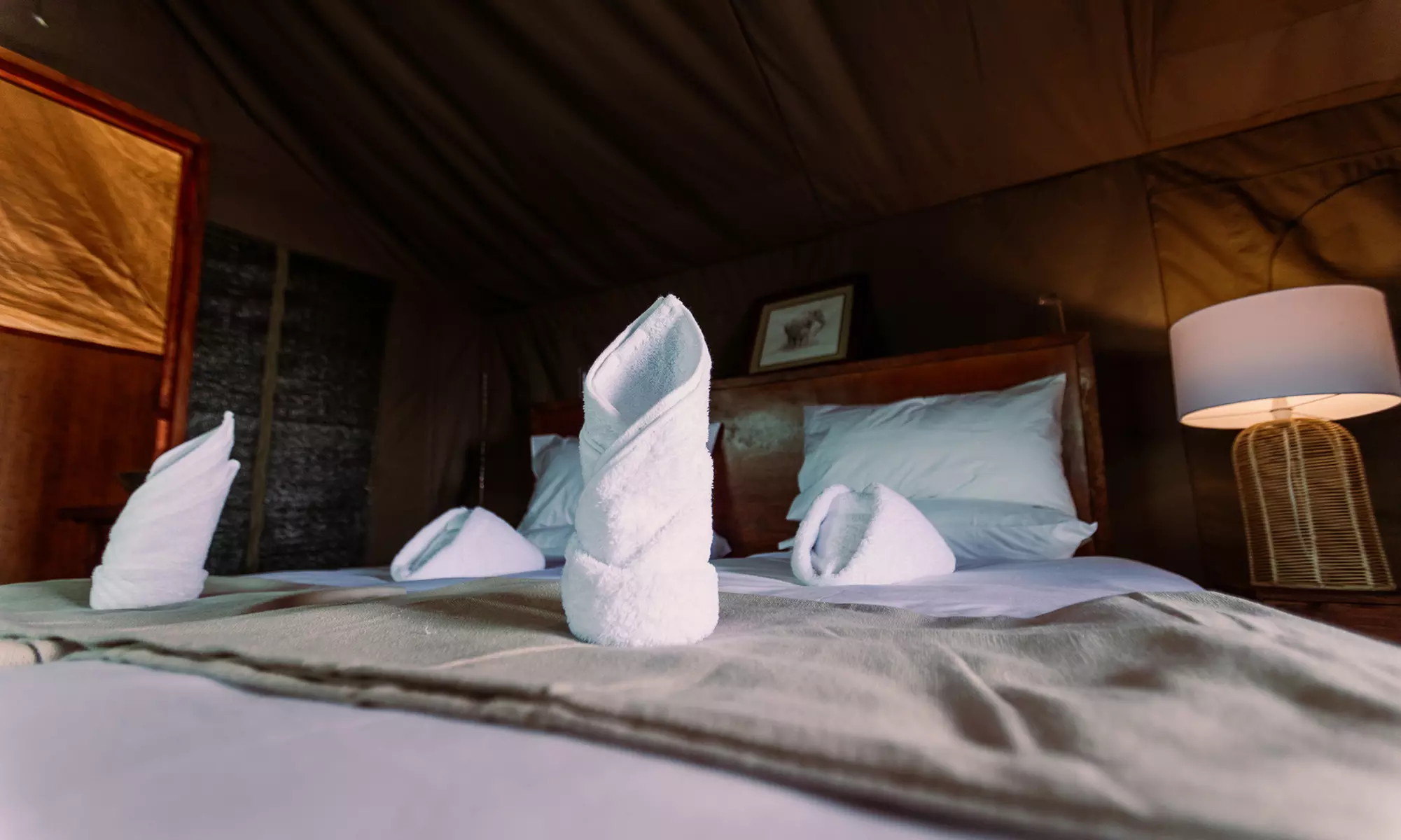 Zimbabwe: 7-Night Yoga & Safari Retreat