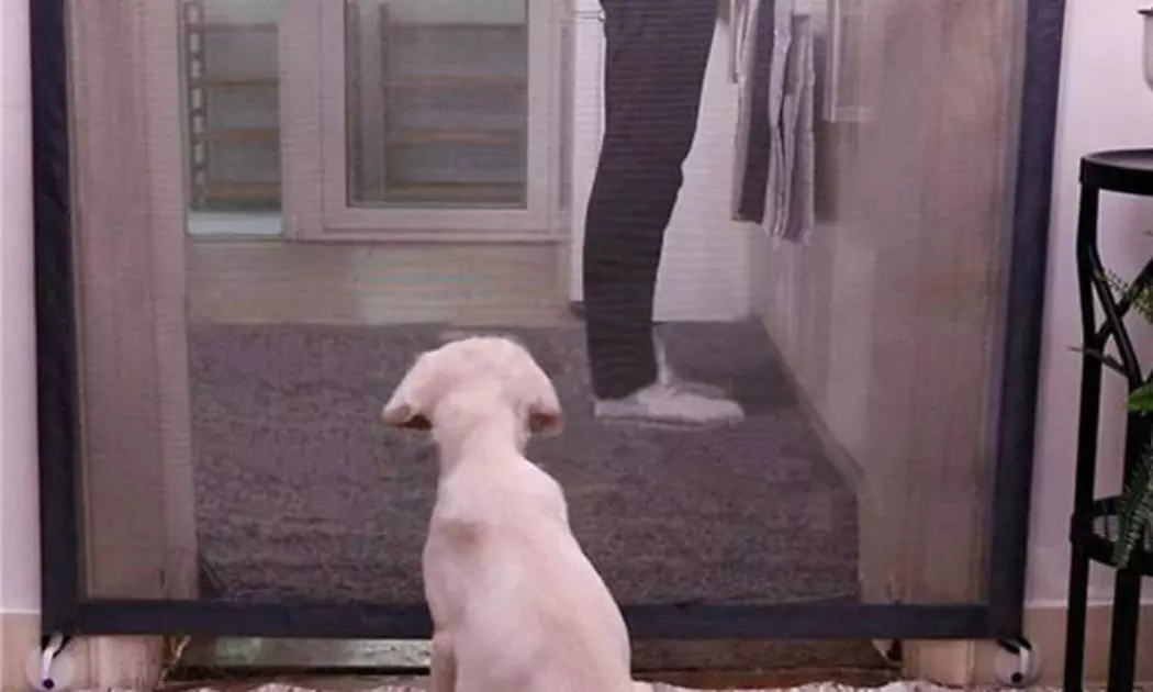 Barrière amovible de sécurité pour chien - Second Medium