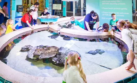 Science-Center Visit for One Child, an Adult and Child, or a Family of Four to the Imaginarium Science Center (Half Off)  - Primary Image