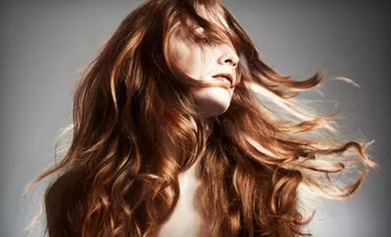 One or Three Haircuts with Optional Single-Process Color or Partial Highlights at Trimz Hair Salon (Up to 67% Off) - Primary Image