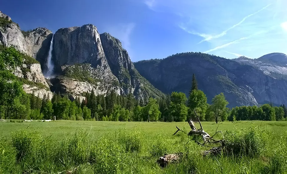 2- or 3-Night Stay for Up to Six inside Yosemite's Enchanted Forest at Yosemite National Park - Primary Image