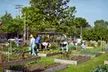 $10 Donation to Help Equip Urban Gardens - Second Medium