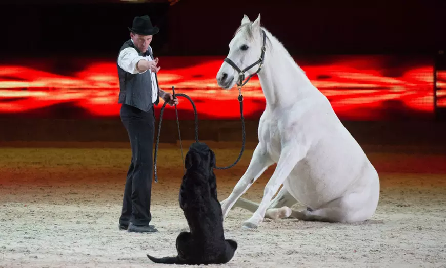 Image 4: Wintercircus Amsterdam
