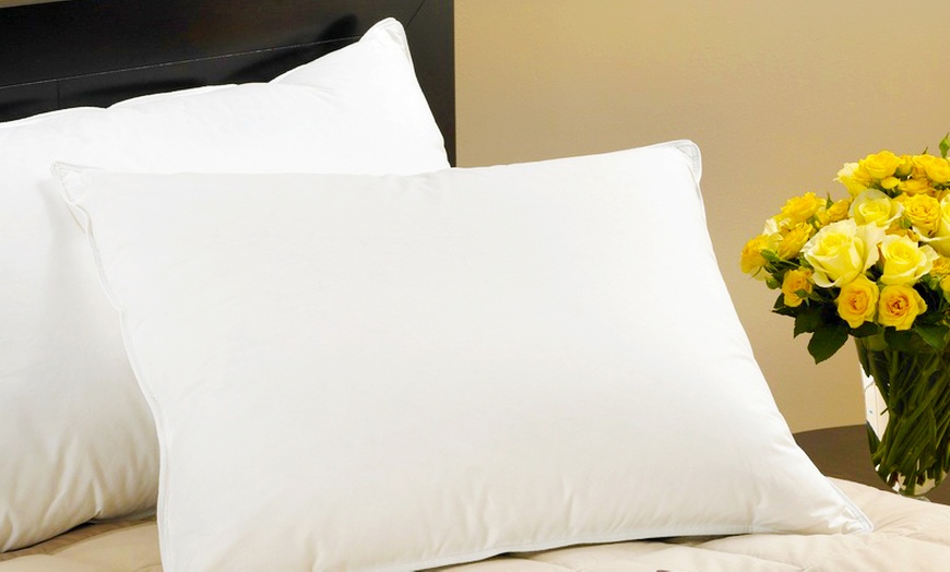 Groupon hot sale feather pillows