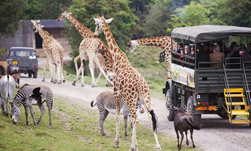 Port Lympne Wild Animal Park in - Hythe | Groupon