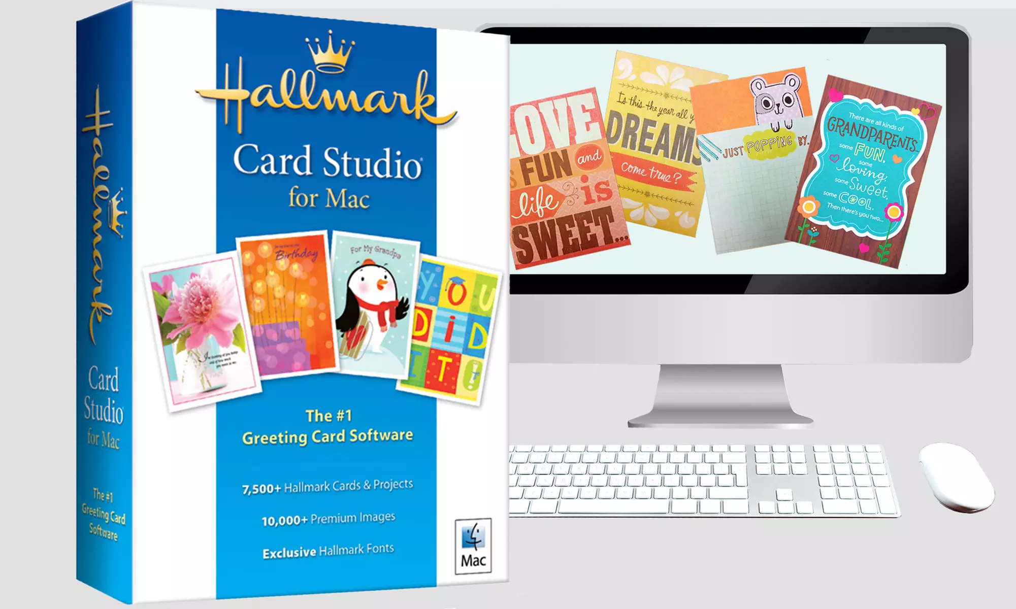 Hallmark Card Studio for Mac or PC from Hallmark Software (50% Off) - Primary Image
