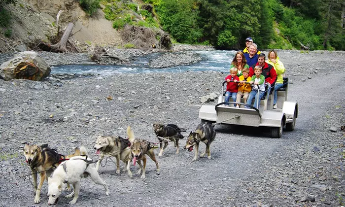 $71 for a Wilderness Dog-Sled Ride & Tour for Two from Seavey's Ididaride Sled Dog Tours ($142.14 Value) - Primary Image