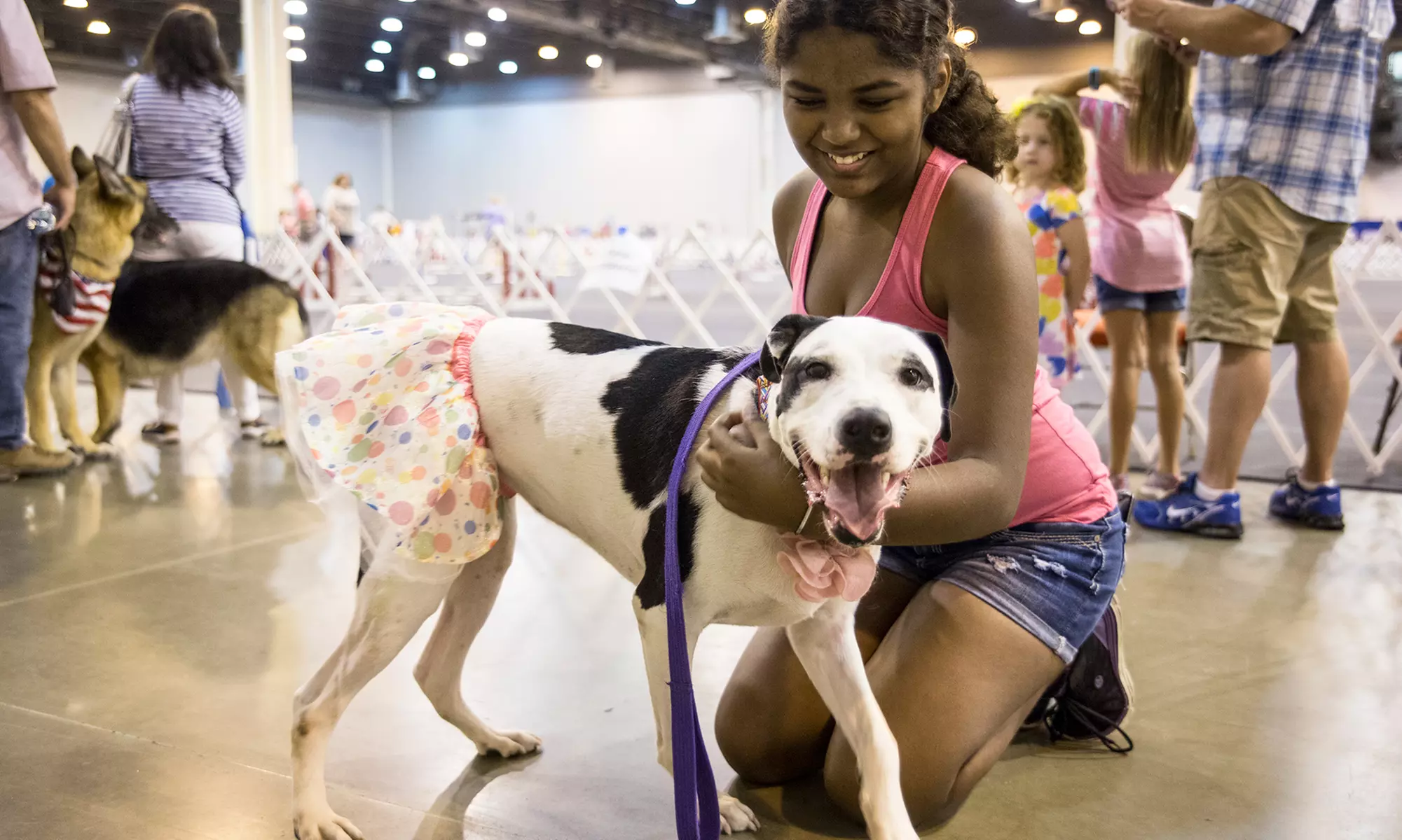 Admission to the Houston World Series of Dog Shows on July 20 - 24, 2022 at the NRG Center (Up to 45% Off) - Primary Image