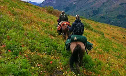Half-Day or Two-Hour Trail Ride for Two from Alaska Horse Adventures LLC (Half Off) - Primary Image
