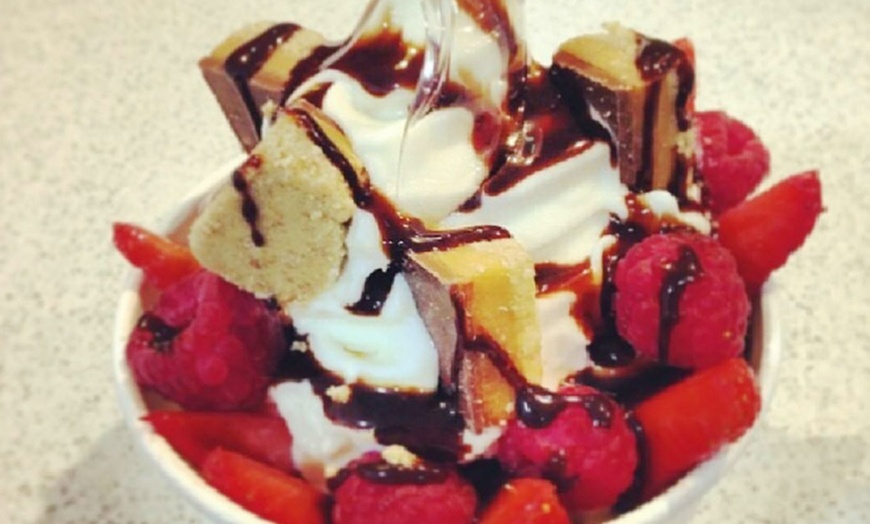 Image 1: Frozen Yoghurt Tub With Toppings