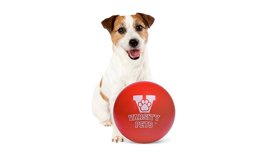 varsity ball indestructible dog toy