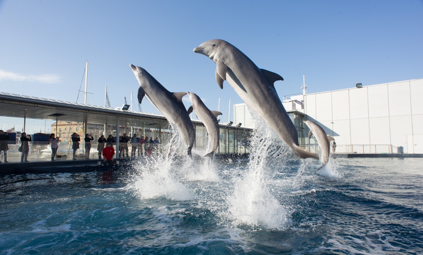 Image 3: Genova: 1 notte con colazione, Acquario, Biosfera e Mostra Illusioni 