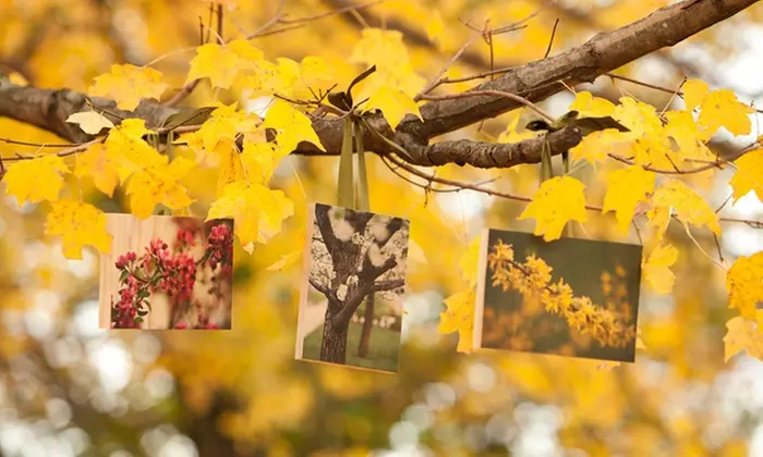Custom 5"x7" Photo on Wood from PhotoBarn - Primary Image