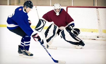 $20 for $40 Worth of Equipment and Accessories at Majer Hockey - Primary Image
