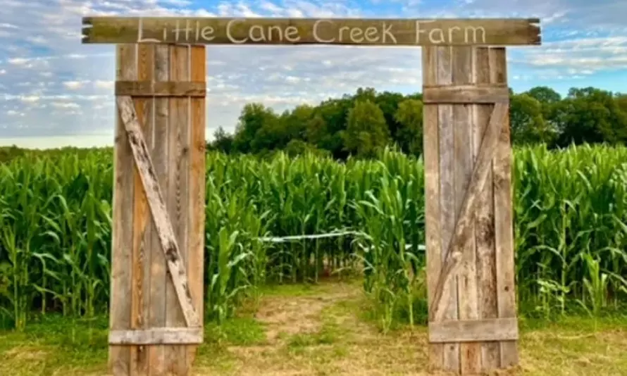 Explore the Magic of Fall with Little Cane Creek Farm’s Corn Maze Adventure and Wagon Rides (Up to  43% Off) for 2-5 - Primary Image