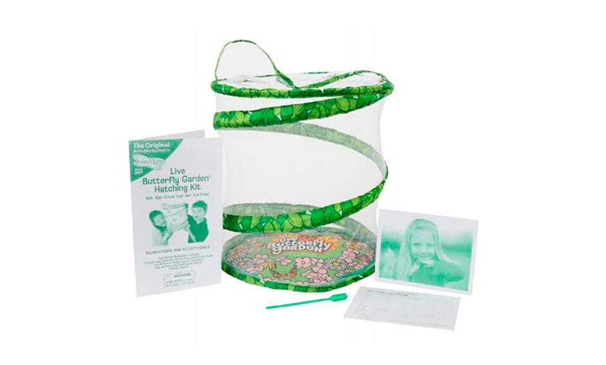 Image 2: Butterfly Garden Hatching Kit