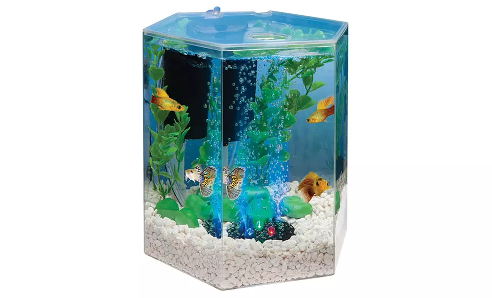 Tetra 1-Gallon Bubbling LED Desktop Aquarium Kit or GloFish 3-Gallon Aquarium Kit - Second Medium