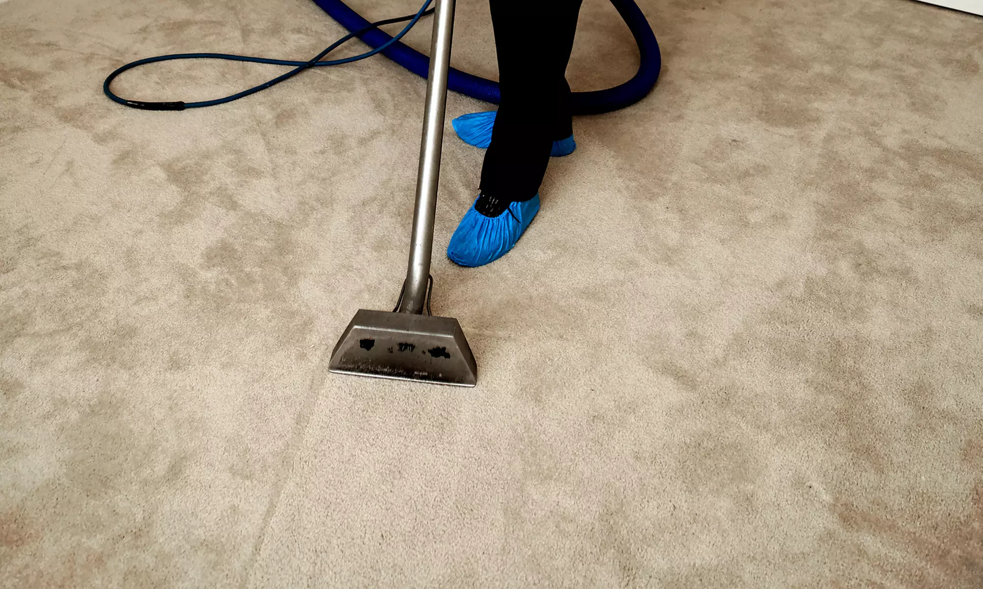 Cleaning for an Area Rug or Up to 500 or 1,000 Square Feet of Carpeting from NYC Steam Cleaning (Up to 72% Off) - Primary Image