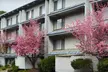 Two- or Three-Night Stay at Yosemite Southgate Hotel & Suites near Yosemite National Park - Second Medium