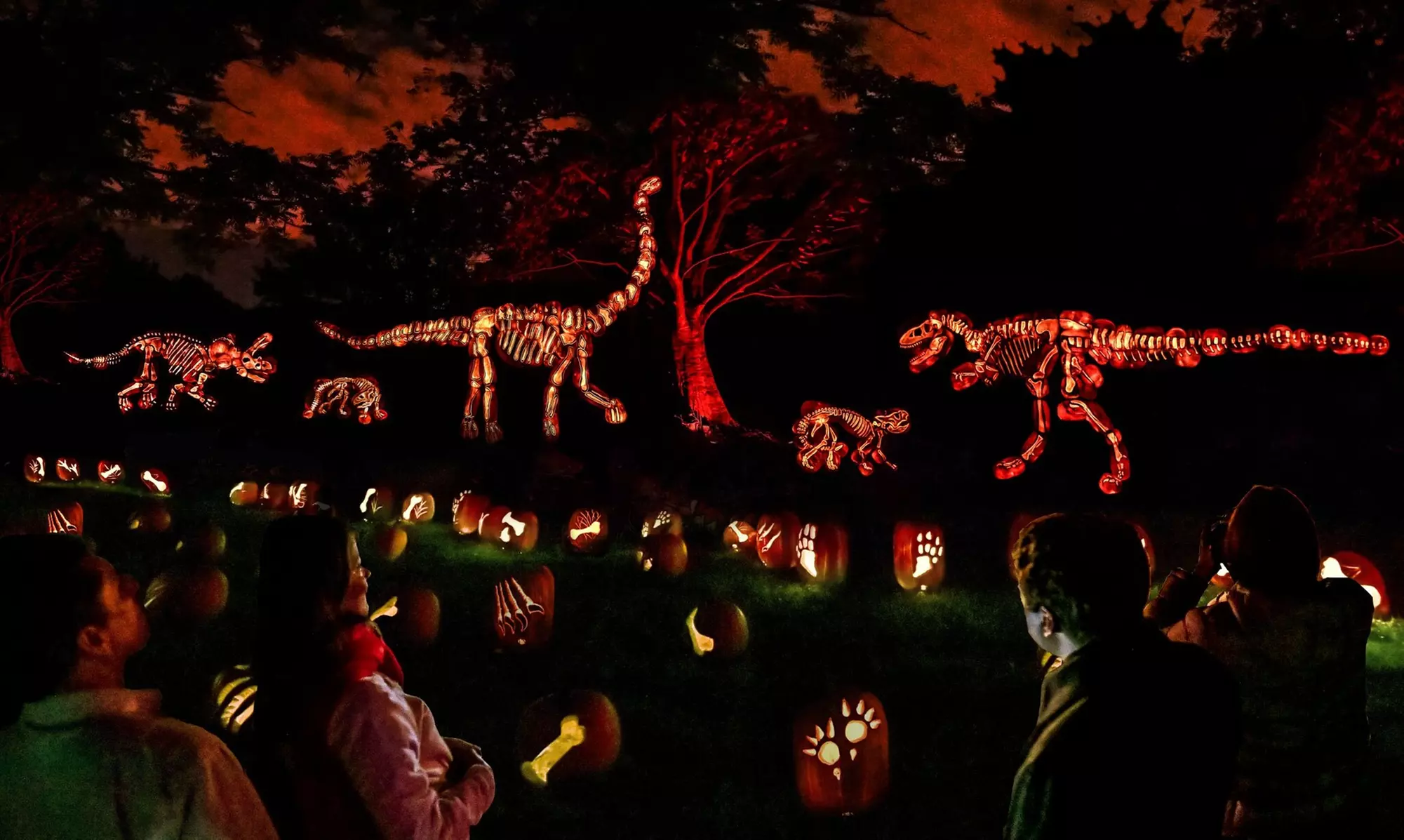 Admission for One or Two to Jack O' Lantern Journey (Up to 54% Off) - Primary Image