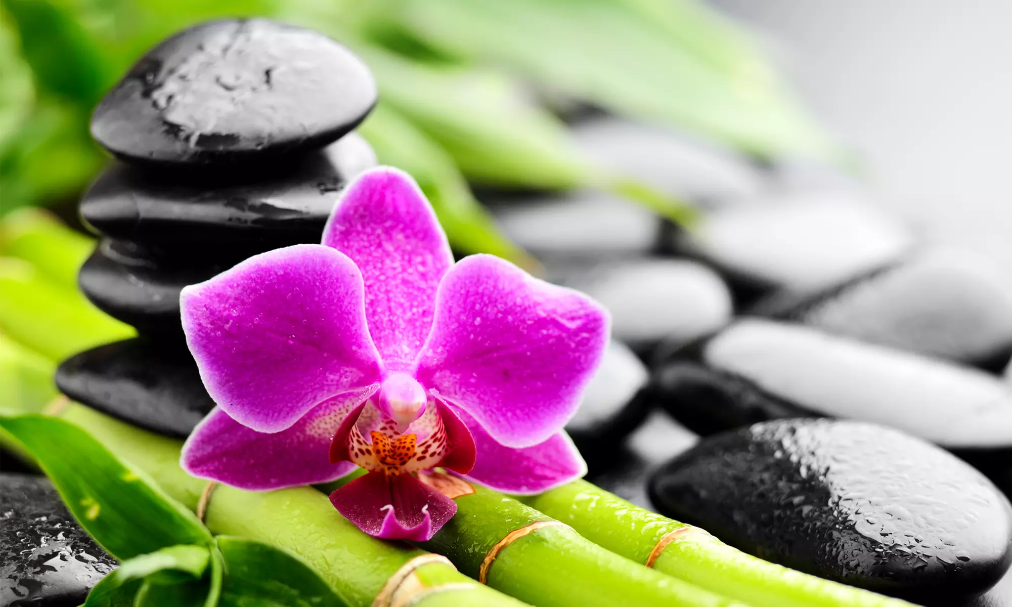 $25 for Four 15-Minute HydroMassage Sessions and a Health Consultation at ChiroMassage Centers ($125 Value)  - Primary Image
