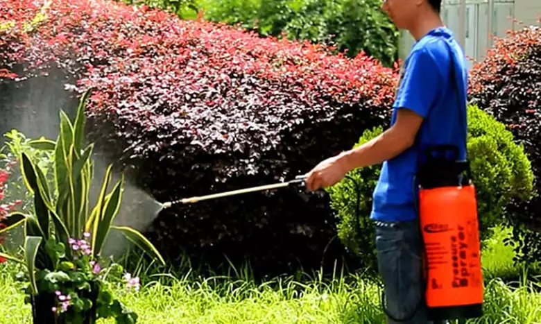 5 Liter Garden Pressure Sprayer - Second Medium