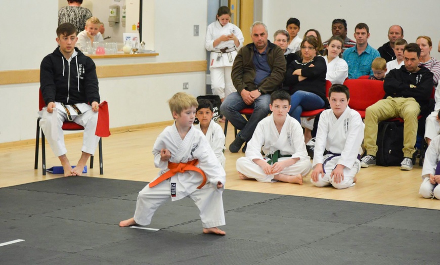 Image 3: Three Karate Lessons for Child