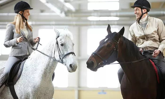 Two 30-Minute Private or Four 60-Minute Group Horseback-Riding Lessons from VQ Equestrian (Up to 44% Off) - Primary Image