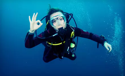 Discover Scuba or Refresher Class for One or Two at Scubadelphia (Up to 54% Off) - Primary Image