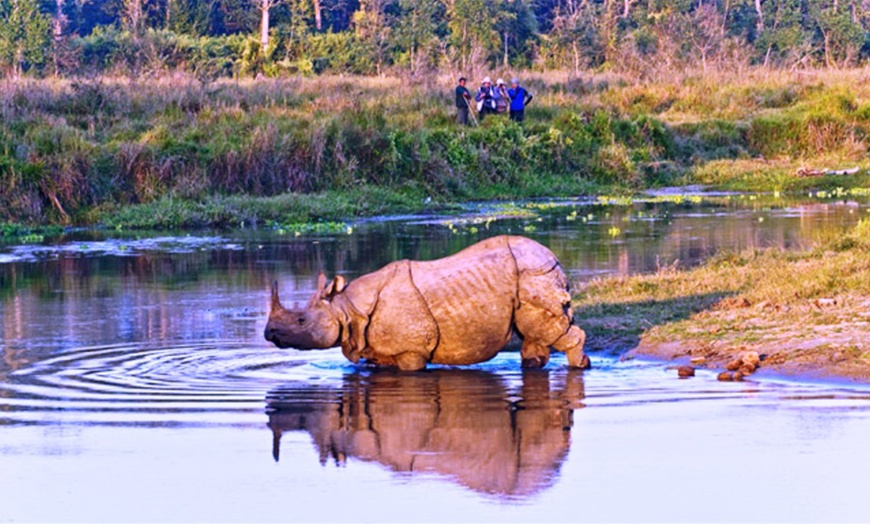 Image 7: Nepal: 10 dagen cultuur en natuur in de Himalaya