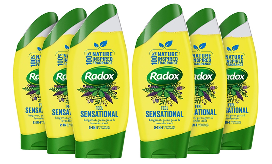 Image 12: Radox Shower Gels 250ml